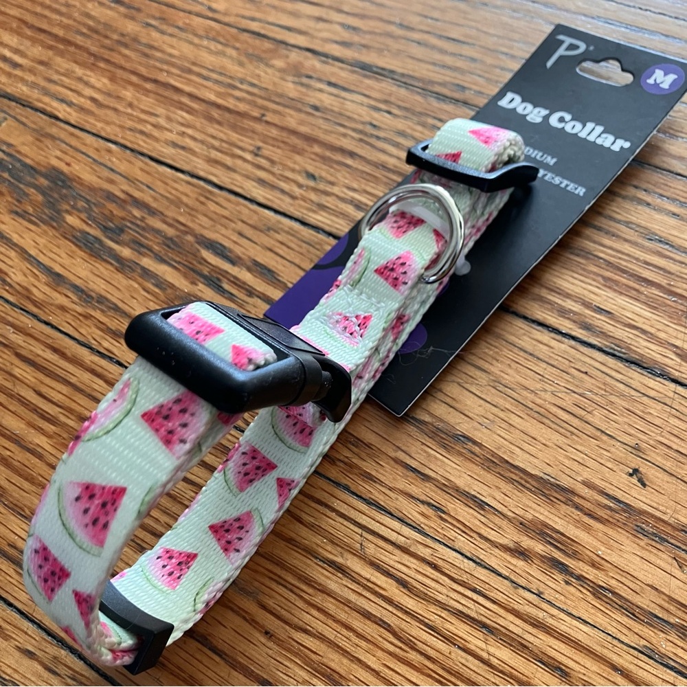 dog collar 🍉